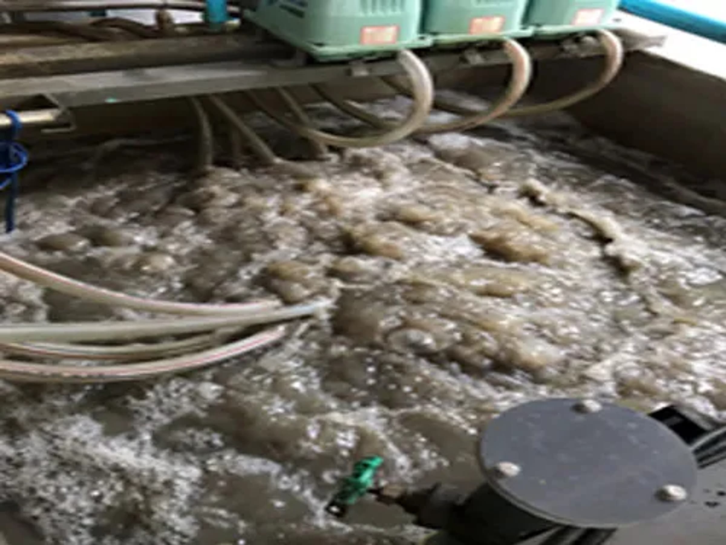 CPB&F CO.,LTD. WASTEWATER TREATMENT PLANT 2