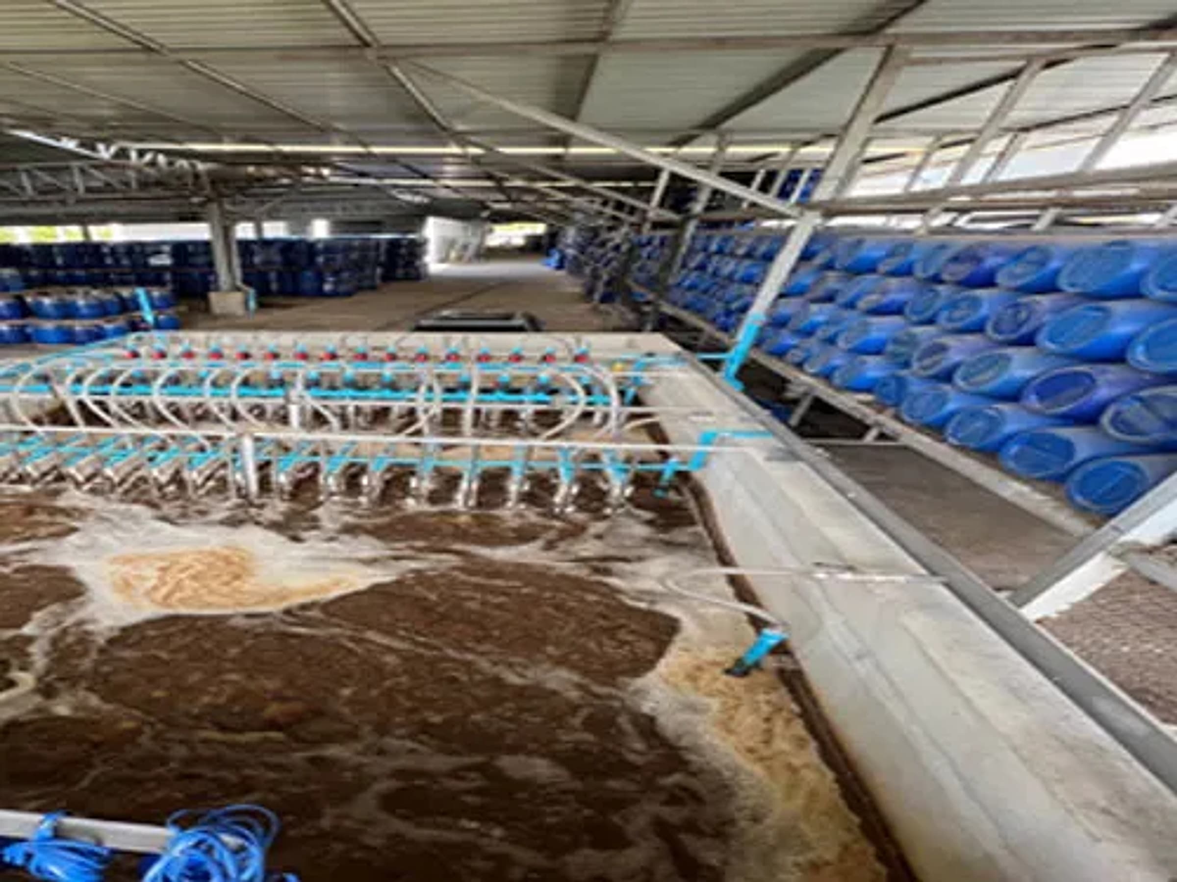 SUREE INTERFOODS CO., LTD. (โรงพริก) WASTEWATER TREATMENT PLANT
